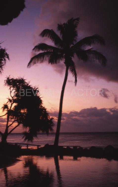 Island;Sunset;sky;water;red;palm trees;sillouettes;ocean;australia;purple